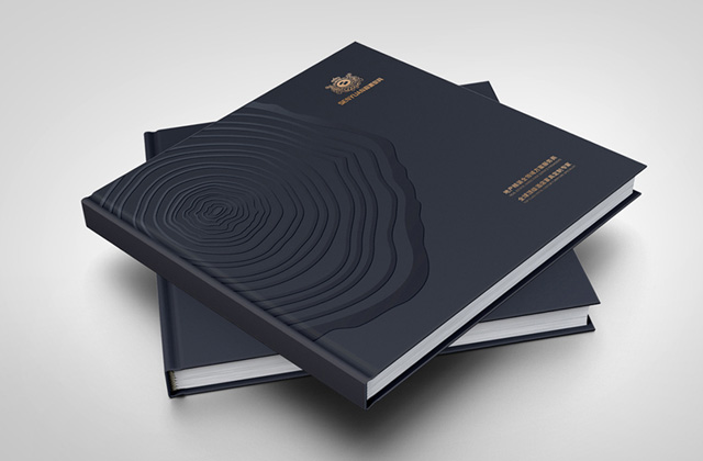 森源 | 畫冊策劃設計