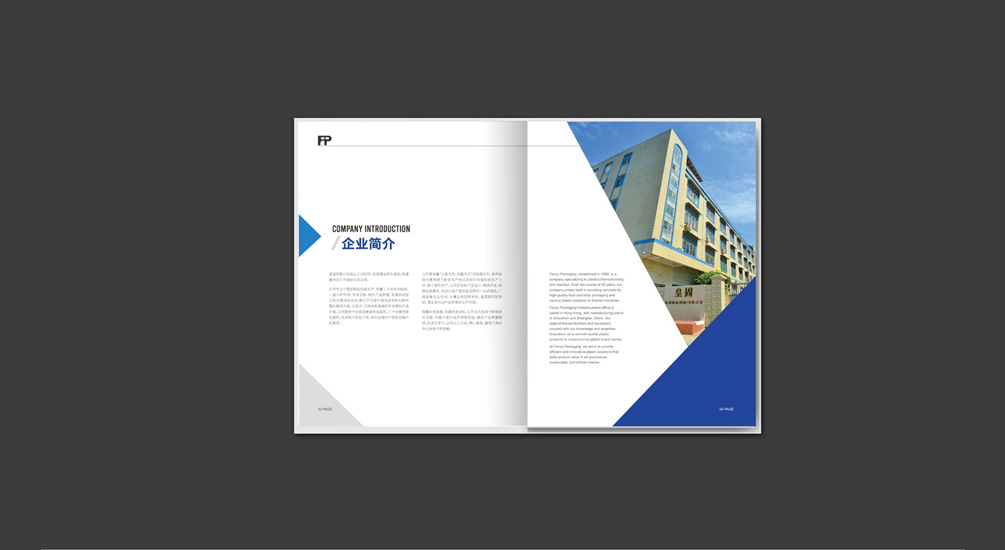 1613793550350881.jpg 案例祥情2.jpg